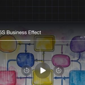 The 5S Business Effect