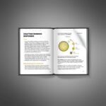 Interview-Success-Blueprint-Book2.jpg
