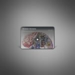 Mindstate-Mechanics-Podcast4.jpg