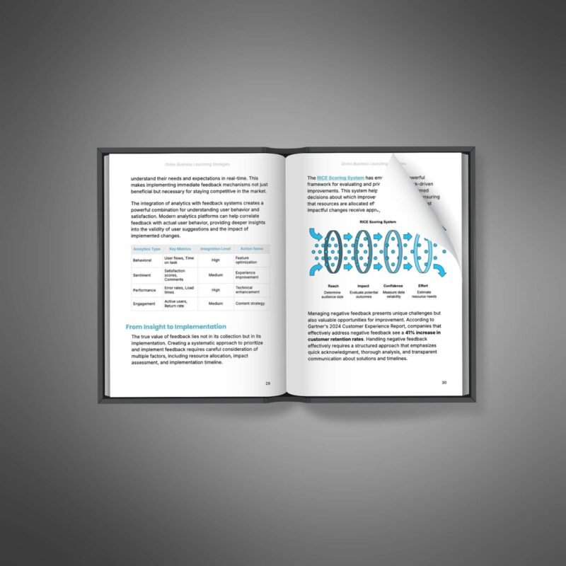 Online-Business-Launching-Strategies-Book2-1.jpg