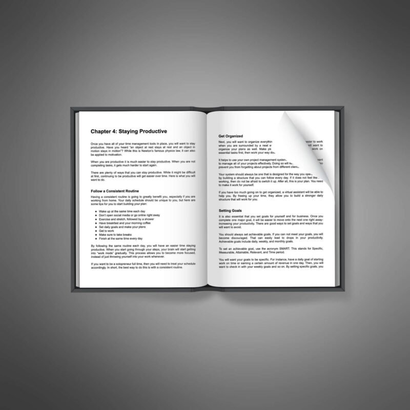 Solopreneur-Success2.jpg