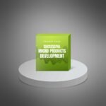Successful-Micro-Products-Development-Prompts1.jpg