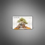 The-Calm-Code-Podcast4.jpg
