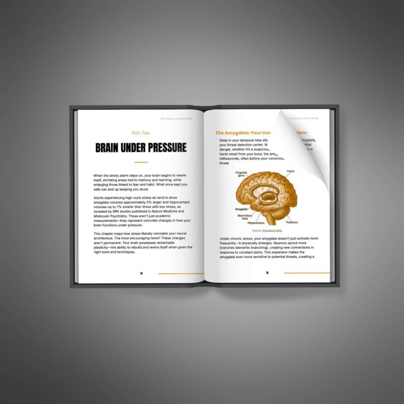The-Science-of-Stress-Relief-Ebook2.jpg